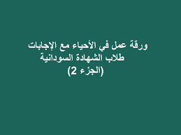 وفوائد عسل السدر للضعف الجنسي يخفف من إصابة السيدات بالفطريات. Ø§ÙØ±Ø§Ù Ø¹ÙÙ ÙÙ Ø§ÙØ£Ø­ÙØ§Ø¡ ÙØ·ÙØ§Ø¨ Ø§ÙØ´ÙØ§Ø¯Ø© Ø§ÙØ³ÙØ¯Ø§ÙÙØ© Ø§ÙØ¬Ø²Ø¡ 2