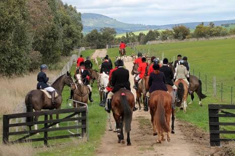 The hunt: the little-known war being waged over horse and hound foxhunting in Australia | Victoria | The Guardian