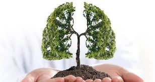 This helps guide treatment options. 4 Ways You Could Get Lung Cancer Even If You Don T Smoke Thehealthsite Com