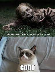 Grumpy Cat Meme By Grumpy Cat Fan On Deviantart