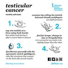 Most testicular cancers start in the germ cells. Men S Health