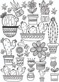 Currently more than 61 000 drawings. Cactus And Succulent Printable Adult Coloring Pages