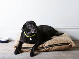 Two colors of fleece is used to create the donut itself and the icing. How To Make A Dog Bed Even If You Barely Know How To Sew