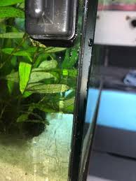 Seither hatte ich sie in einem mini aqua. Aquarium An Einer Stelle Undicht Tiere Fische Aquaristik