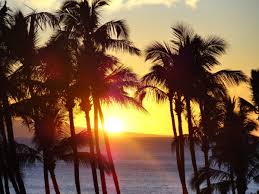 Spanish nouns have a gender, which is either feminine (like la mujer or la luna) or masculine (like el hombre or el sol). Long Term Assessment Of Pv Panel Degradation Under Hot Humid Tropical Climates Pv Magazine International