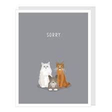 Maybe you would like to learn more about one of these? Pet Cat Sympathy Card By Apartment 2 Cards