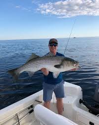 The future in selling bait today. Fishing Lines Striped Bass Keepers Arriving Sports The Herald News Fall River Ma Fall River Ma