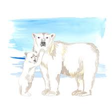 Polar Bears Watercolor Clipart Polar Bears Bear And Bear Cubs Clipart Snow Clipart Snowdrifts Watercolor Background Png In 2020 Bear Watercolor Watercolor Clipart Polar Bear