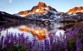 Maybe you would like to learn more about one of these? Nature Jigsaw Puzzles Free For Android Apk Download