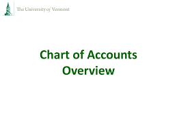 Ppt Chart Of Accounts Overview Powerpoint Presentation