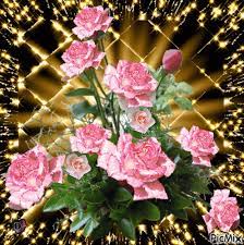 Imagen relacionada | Flores, Rosas bonitas, Flores bonitas