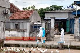Rất mong quý vị ủng hộ, trân trọng cám ơn! Z1r 3fsvyiuuam