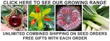 Image result for Acanthosicyos naudinianus