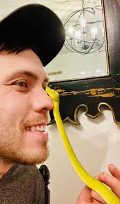 This is Amiga. She is the third Gtp that I purchased. She has been in my  care for for over five years now, and she gave me my first clutch this  year!! |