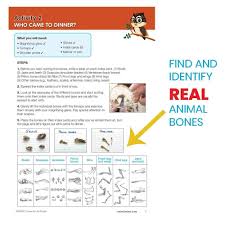Animal Science Kit For Kids Educational Toy Age 8 10 Stem Experiments Activities On Animal Biology Dissect Owl Pellets Study Bones Gift For Girls Boys Children Teens Stem The fakespot grade is based on reviews of products listed on amazon with hand2mind as the company name. amazon ae