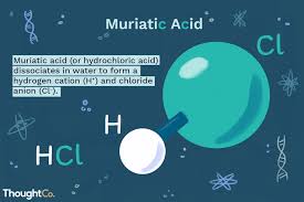 What Is Muriatic Acid Facts And Uses