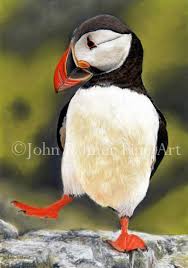 Birds That Start With Bu Party Puffin Greeting Card From My Painting Of A Dancing Puffin Wildlife Bird Animal Dog Bu With Images Puffins Bird Puffin Birds