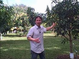 From acres of fields and orchards producing fresh fruits and vegetables to our general store and so much more! 1 Acre Home Orchard In South Florida Yields Over A Thousand Of Pounds Of Tropical Fruit A Year Youtube