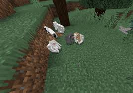 Popular this week popular this month most viewed most recent. Domestic Pets Addon