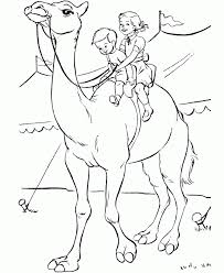 Printable spectacular camels coloring pages bactrian camel coloring page | free printable coloring pages intended for realistic bactrian animal coloring pages printable pictures coloring pages desert animals coloring black and white pictures coloring books animal drawings color. Camel Coloring Pages