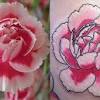 1 carnation(s) per stem number of petals per flower: 1