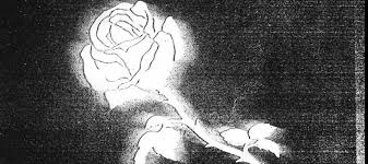 Can the net harness a bunch of volunteers to help bring books in the public domain to life through podcasting? Gomorra Capannelle E Una Rosa Bianca I Segreti Di Liberato