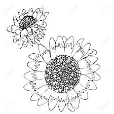 Download Floral Coloring Template With Black Line Flower Printable Coloring Royalty Free Cliparts Vectors And Stock Illustration Image 128036680