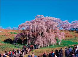 1,451 likes · 417 talking about this. è¦³å…‰ã§ç¦å³¶çœŒã‚'å¿œæ´ã—ã‚ˆã† 30å¹´åº¦è¢«ç½åœ°å¿œæ´ãƒ„ã‚¢ãƒ¼ æ±äº¬éƒ½