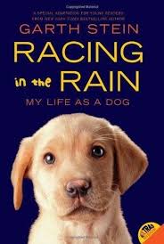 Racing In The Rain: My Life As A Dog by Garth Stein - Book Outlet