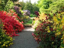 Dawyk Botanical Gardens Near Biggar And Peebles Garden Design Images Beautiful Gardens Garden Design