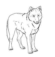 Free printable wolf coloring pages wolf no. Pin On Quick Saves