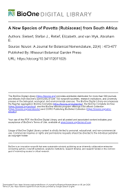 Image result for Pavetta barbertonensis