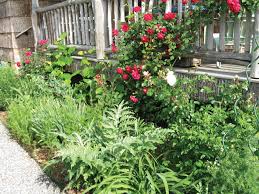 K and a landscaping are very reliable and do what they say they will do! An Edible Landscape Charlotte Magazine
