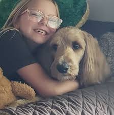 Anyone else's doodle think personal space is optional? 😂