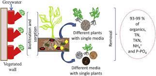 Using dishwater to water plants: Greywater Treatment By Ornamental Plants And Media For An Integrated Green Wall System Sciencedirect