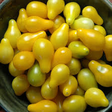 Choose a colorful mixture of red and yellow cherry tomatoes and remove any stems and leaves. Pear Tomato Wikipedia