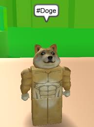 Cherry bomb doge for dogeeri roblox. Roblox Doge My Brother By Pikachu Jenna On Deviantart
