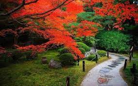 koyo as folhas coloridas do outono japones curiosidades do japao jardins japoneses japao fotos do japao