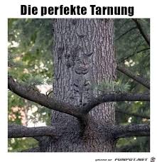 Lustige haustiere und wilde tiere. Glatteis