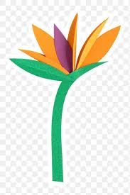Png Bird Of Paradise Images Flyen1tetxfwmm