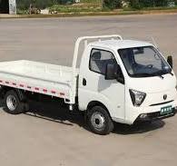 WAW Hot Sale Gasoline Mini Truck