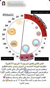 pin by مجد on life style teaching math interactive learning math printables