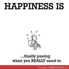 The True Meaning Of Happiness Funsubstance Funny Quotes Happy Quotes Happiness Meaning