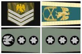 However, these are the people that risk they live for the security of the nation. Nigerian Army Ranks Salaries Symbols Logo Badges Updated