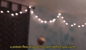 Sadly, potatoes had not the reproductive regions necessary, seeing as they oh, frank. A Potato Flew Around My Room Gif Wifflegif