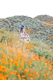 Let our florists at fashion flowers in lancaster, ca, help you embrace the holiday and encourage you our team of florists at fashion flowers in lancaster, ca, have experience dealing with grief. 11 Beautiful California Flower Fields You Must Visit This Spring