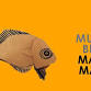 MURRAY BRIDGE MAKERS MARKET 2025 — Murray Bridge event image