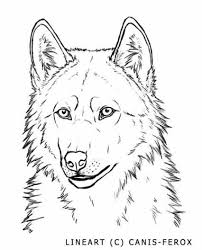 Drawing Wolf Face Deviantart 19 New Ideas Wolf Sketch Wolf Face Wolf Face Drawing
