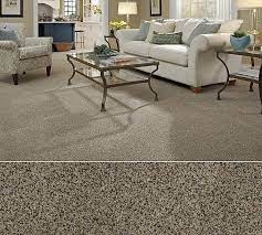 Carpet Carpeting Berber Texture More Shaw Carpet Colors Round Carpet Living Room Buying Carpet