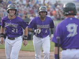Boise Hawks Lose Minor League Affiliation Join Pioneer League Hawks Idahopress Com